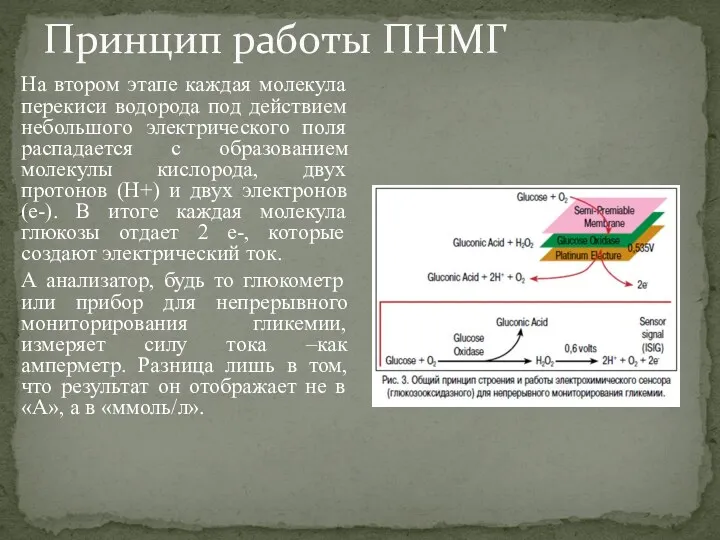 Принцип работы ПНМГ На втором этапе каждая молекула перекиси водорода