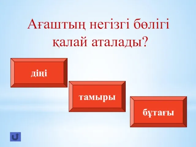 Ағаштың негізгі бөлігі қалай аталады? діңі тамыры бұтағы