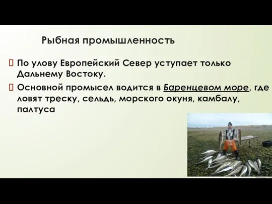 Рыбная промышленность По улову Европейский Север уступает только Дальнему Востоку.