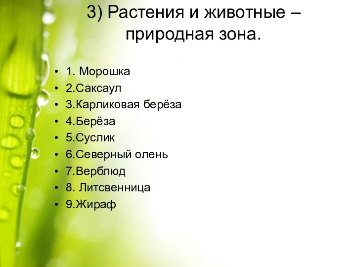 3) Растения и животные – природная зона. 1. Морошка 2.Саксаул