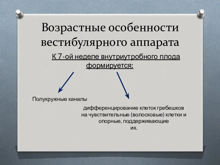 Возрастные особенности вестибулярного аппарата К 7-ой неделе внутриутробного плода формируется: