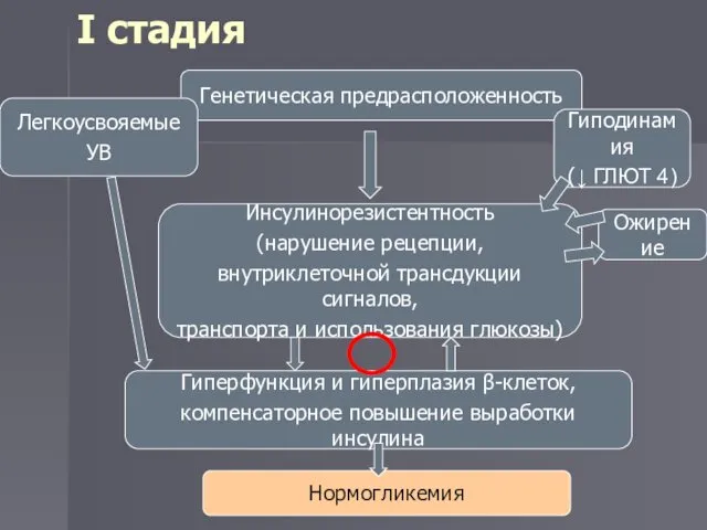 I стадия Инсулинорезистентность (нарушение рецепции, внутриклеточной трансдукции сигналов, транспорта и