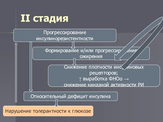 II стадия Прогрессирование инсулинорезистентности Формирование и/или прогрессирование ожирения Снижение плотности инсулиновых рецепторов; ↑