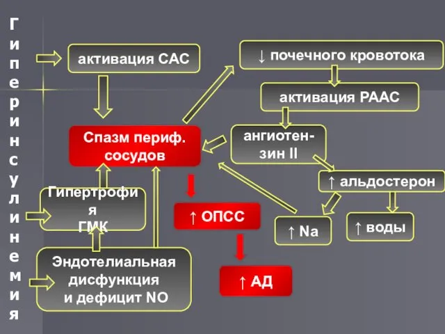 активация САС Спазм периф. сосудов ↑ ОПСС ↓ почечного кровотока активация РААС ангиотен-