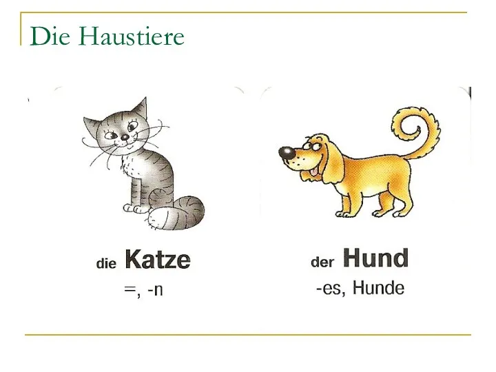 Die Haustiere