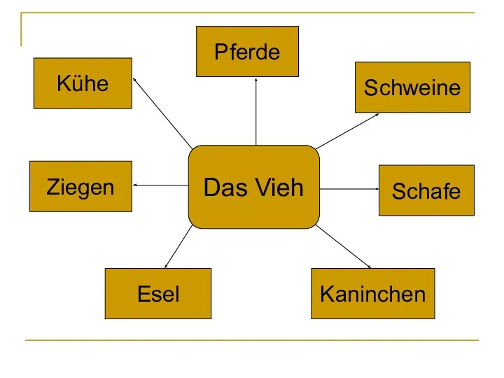 Das Vieh Ziegen Esel Kühe Pferde Kaninchen Schafe Schweine