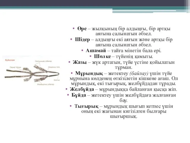 Өре – жылқының бір алдыңғы, бір артқы аяғына салынатын әбзел.