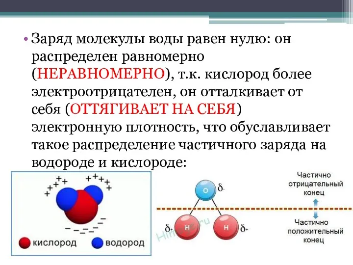 Заряд молекулы воды равен нулю: он распределен равномерно (НЕРАВНОМЕРНО), т.к.