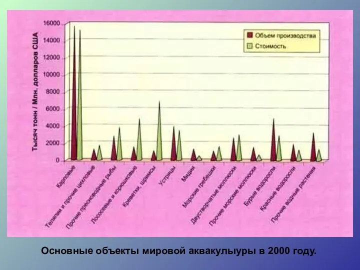 Основные объекты мировой аквакулыуры в 2000 году.