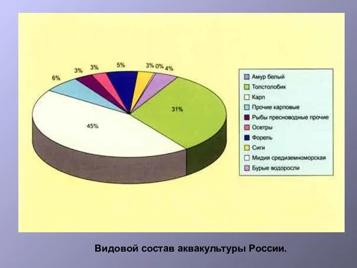 Видовой состав аквакультуры России.