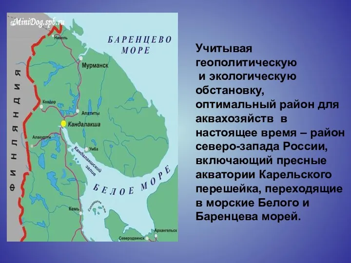 Учитывая геополитическую и экологическую обстановку, оптимальный район для аквахозяйств в