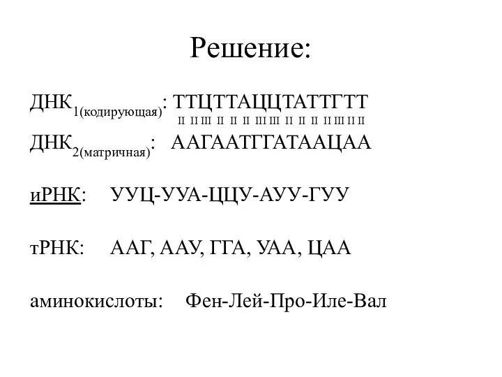 Решение: ДНК1(кодирующая): ТТЦТТАЦЦТАТТГТТ II II III II II II III