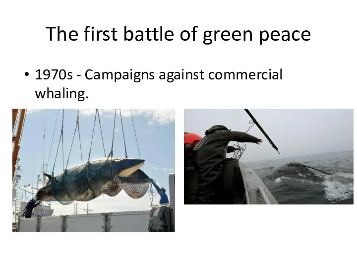 The first battle of green peace 1970s - Campaigns against commercial whaling.