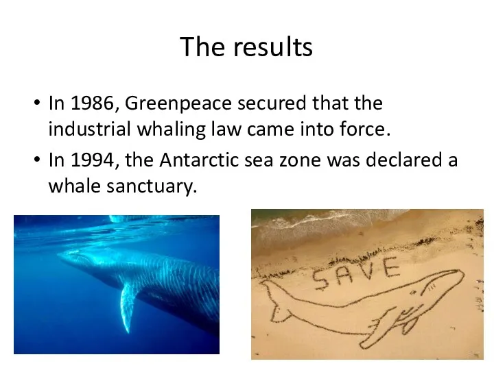 The results In 1986, Greenpeace secured that the industrial whaling