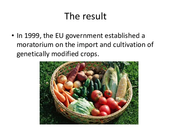 The result In 1999, the EU government established a moratorium