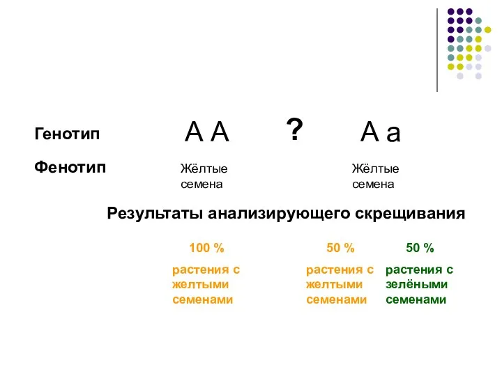 А А А а Жёлтые семена Жёлтые семена Генотип Фенотип