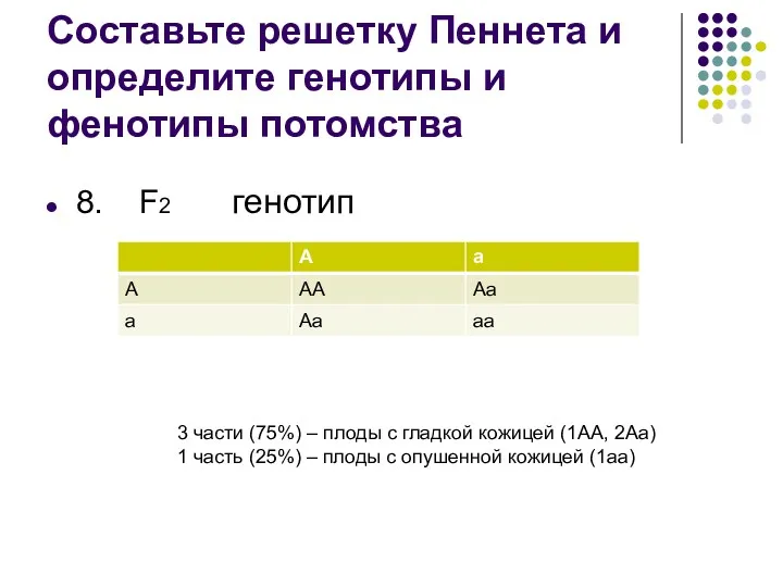 Составьте решетку Пеннета и определите генотипы и фенотипы потомства 8.