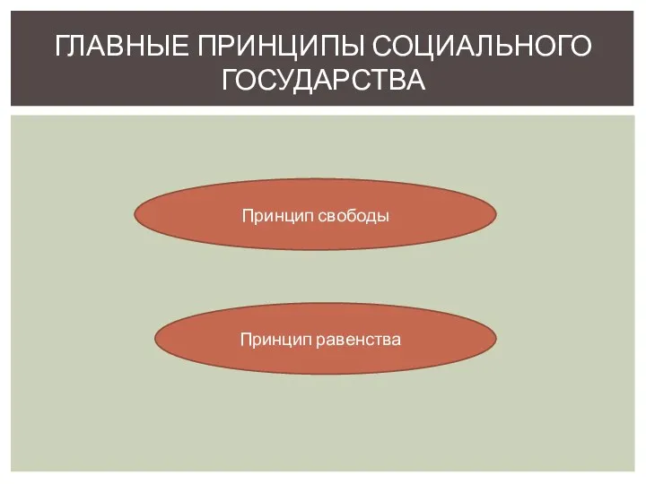 ГЛАВНЫЕ ПРИНЦИПЫ СОЦИАЛЬНОГО ГОСУДАРСТВА Принцип свободы Принцип равенства