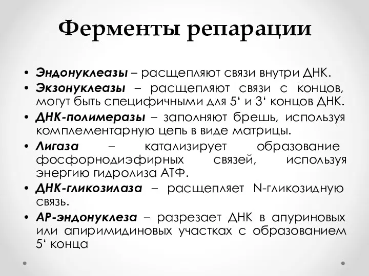 Ферменты репарации Эндонуклеазы – расщепляют связи внутри ДНК. Экзонуклеазы –