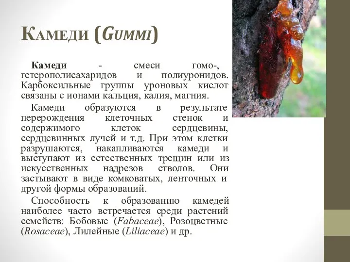 Камеди (Gummi) Камеди - смеси гомо-, гетерополисахаридов и полиуронидов. Карбоксильные