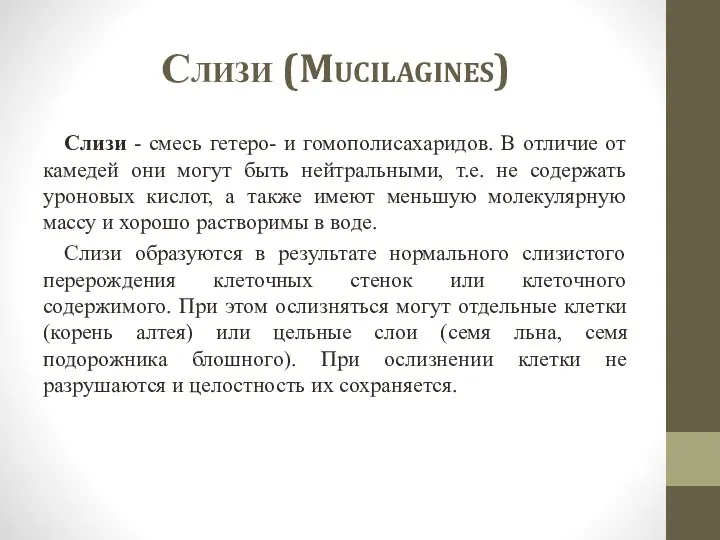 Слизи (Mucilagines) Cлизи - смесь гетеро- и гомополисахаридов. В отличие