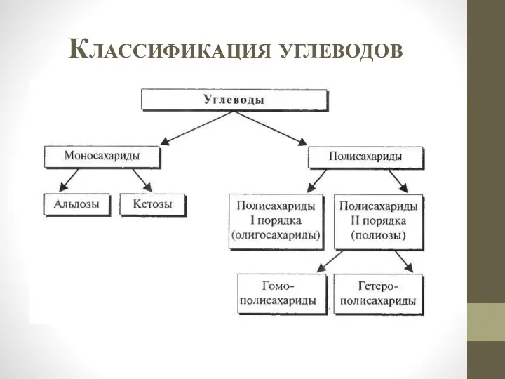 Классификация углеводов