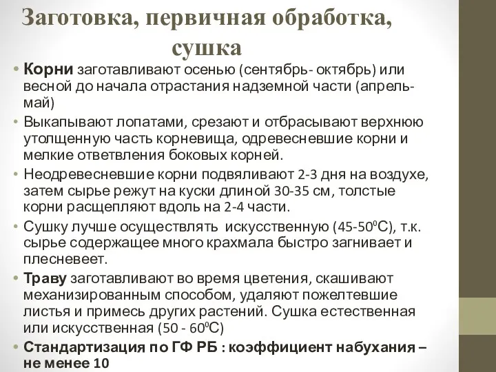 Заготовка, первичная обработка, сушка Корни заготавливают осенью (сентябрь- октябрь) или