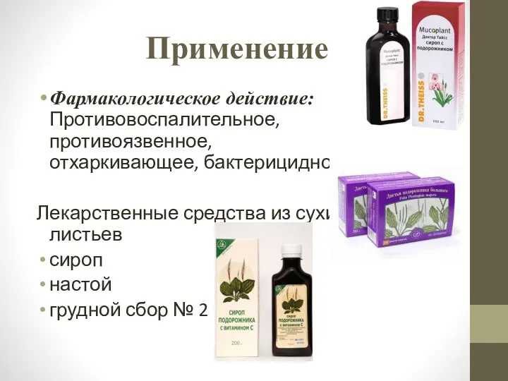 Применение Фармакологическое действие: Противовоспалительное, противоязвенное, отхаркивающее, бактерицидное Лекарственные средства из