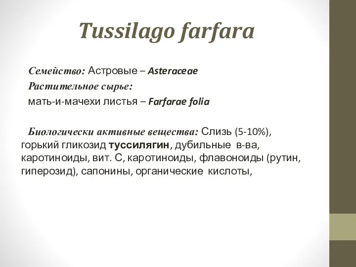 Tussilago farfara Семейство: Астровые – Asteraceae Растительное сырье: мать-и-мачехи листья