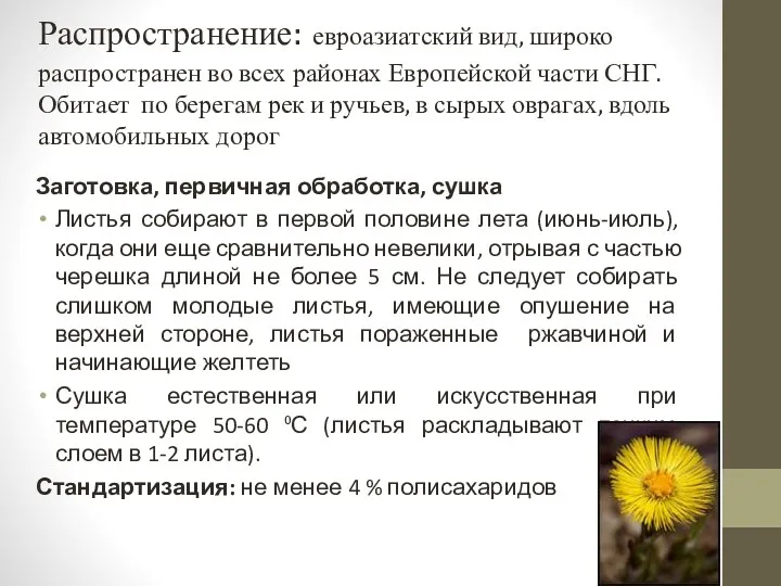 Распространение: евроазиатский вид, широко распространен во всех районах Европейской части