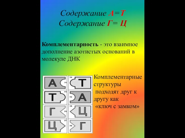 Содержание А=Т Содержание Г= Ц Комплементарность - это взаимное дополнение