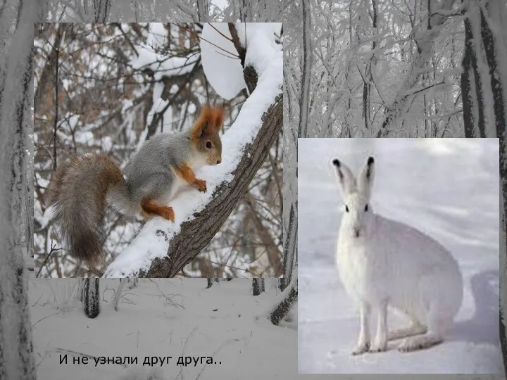 И не узнали друг друга..