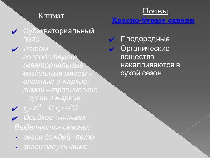 Субэкваториальный пояс Летом господствуют экваториальные воздушные массы – влажные и