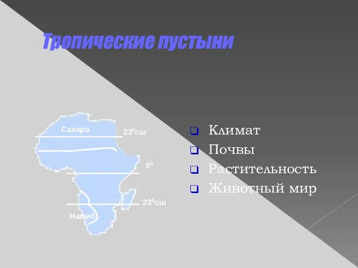 Тропические пустыни Климат Почвы Растительность Животный мир 230сш 230сш 00 Сахара Намиб