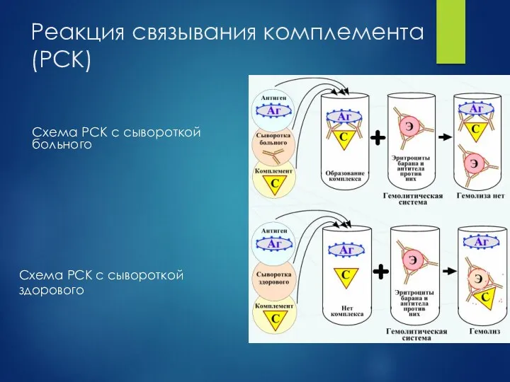 Реакция связывания комплемента (РСК) Схема РСК с сывороткой больного Схема РСК с сывороткой здорового