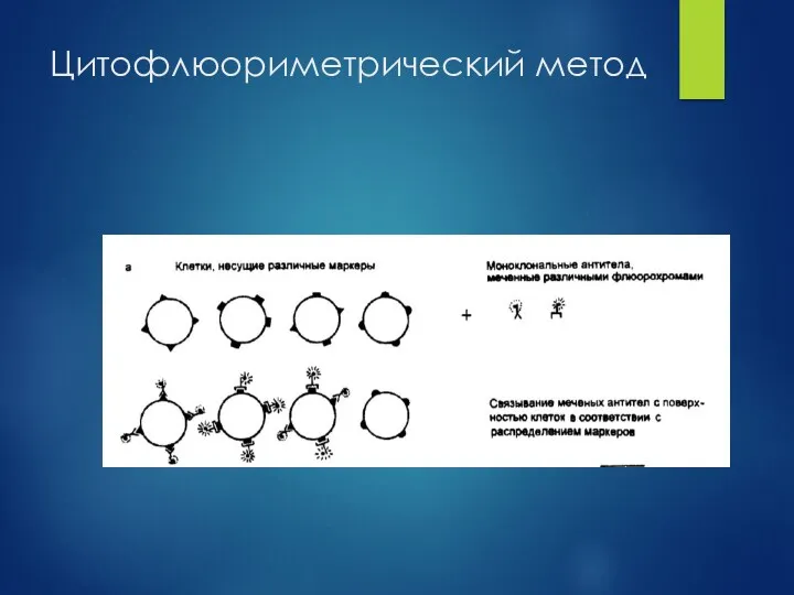 Цитофлюориметрический метод