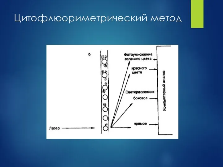 Цитофлюориметрический метод