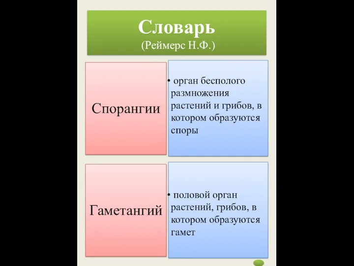 Словарь (Реймерс Н.Ф.)