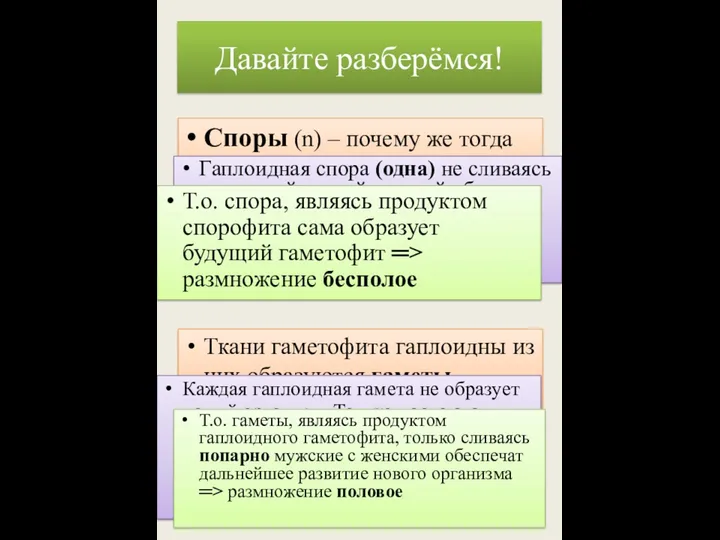 Споры (n) – почему же тогда это бесполые клетки, а