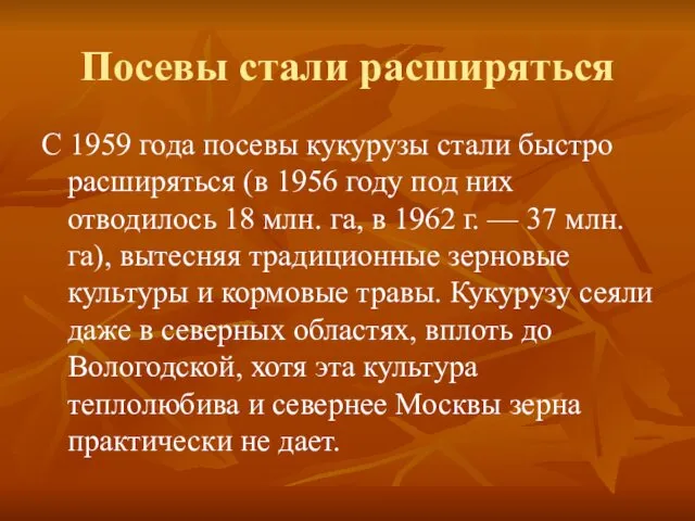 Посевы стали расширяться С 1959 года посевы кукурузы стали быстро