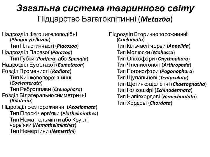 Загальна система тваринного світу Підцарство Багатоклітинні (Metazoa) Надрозділ Фагоцителоподібні (Phagocytellozoa) Тип Пластинчасті (Placozoa)