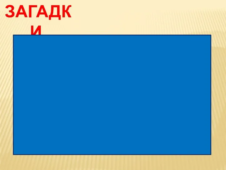 ЗАГАДКИ. И у меня равны диагонали, Хочу сказать я. Но