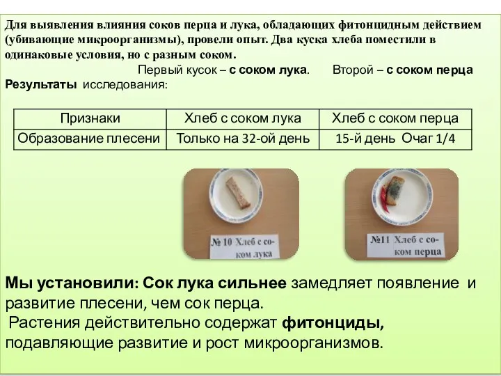 Для выявления влияния соков перца и лука, обладающих фитонцидным действием