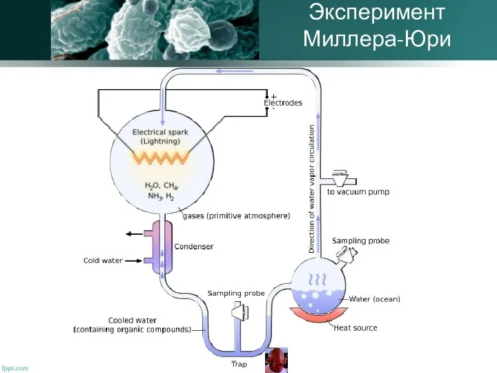 Эксперимент Миллера-Юри