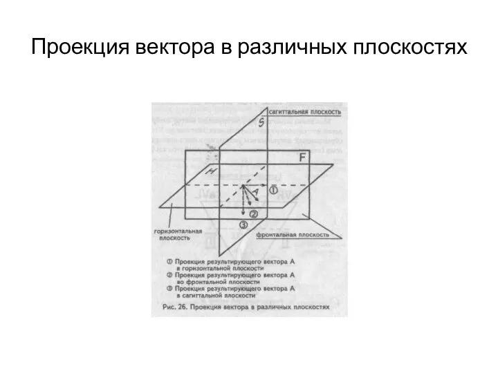 Проекция вектора в различных плоскостях