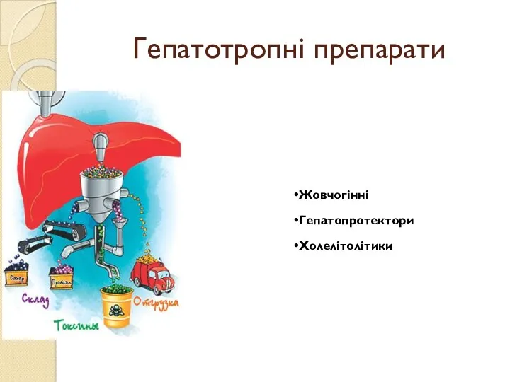 Гепатотропні препарати Жовчогінні Гепатопротектори Холелітолітики