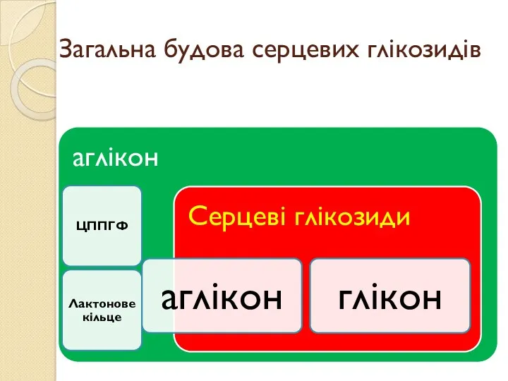 Загальна будова серцевих глікозидів