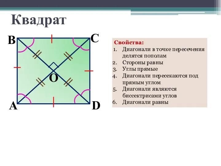 Квадрат Свойства: Диагонали в точке пересечения делятся пополам Cтороны равны