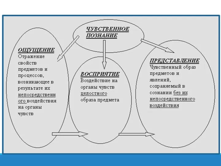 Формы чувственного познания ОЩУЩЕНИЯ- ОТРАЖЕНИЕ ОТДЕЛЬНЫХ СВОЙСТВ, ПРЕДМЕТОВ. ВОСПРИЯТИЕ- ЦЕЛОСТНОЕ ОТРАЖЕНИЕ ПРЕДМЕТОВ. ПРЕДСТАВЛЕНИЕ