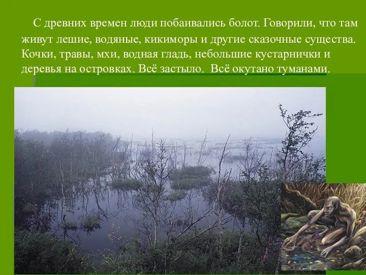 С древних времен люди побаивались болот. Говорили, что там живут лешие, водяные, кикиморы